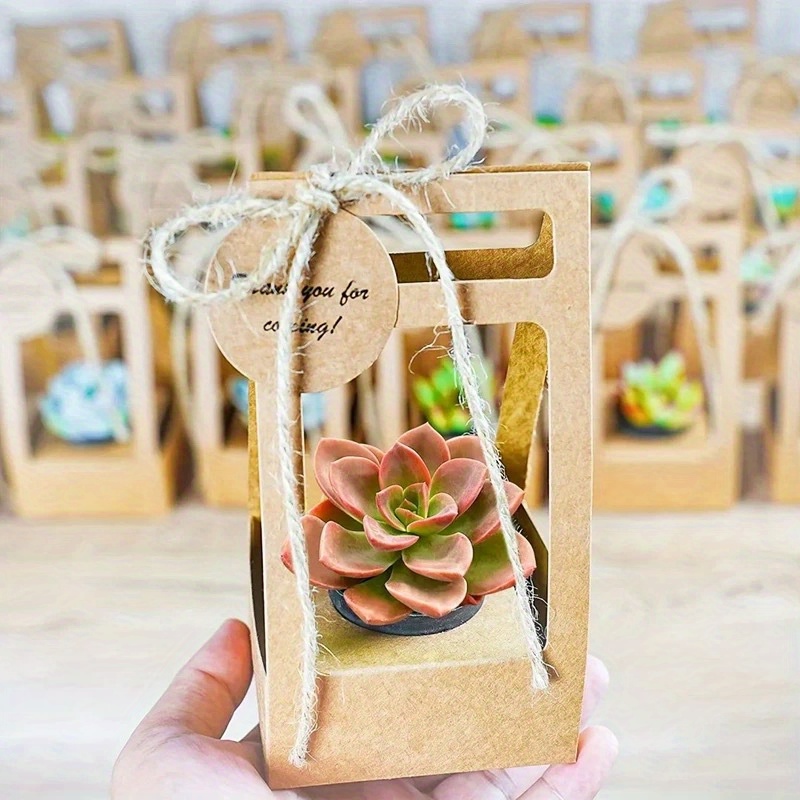 ชุดถุงห่อของขวัญสำหรับไม้อวบน้ - Flower Wrap Kraft บทวิจารณ์และราคา