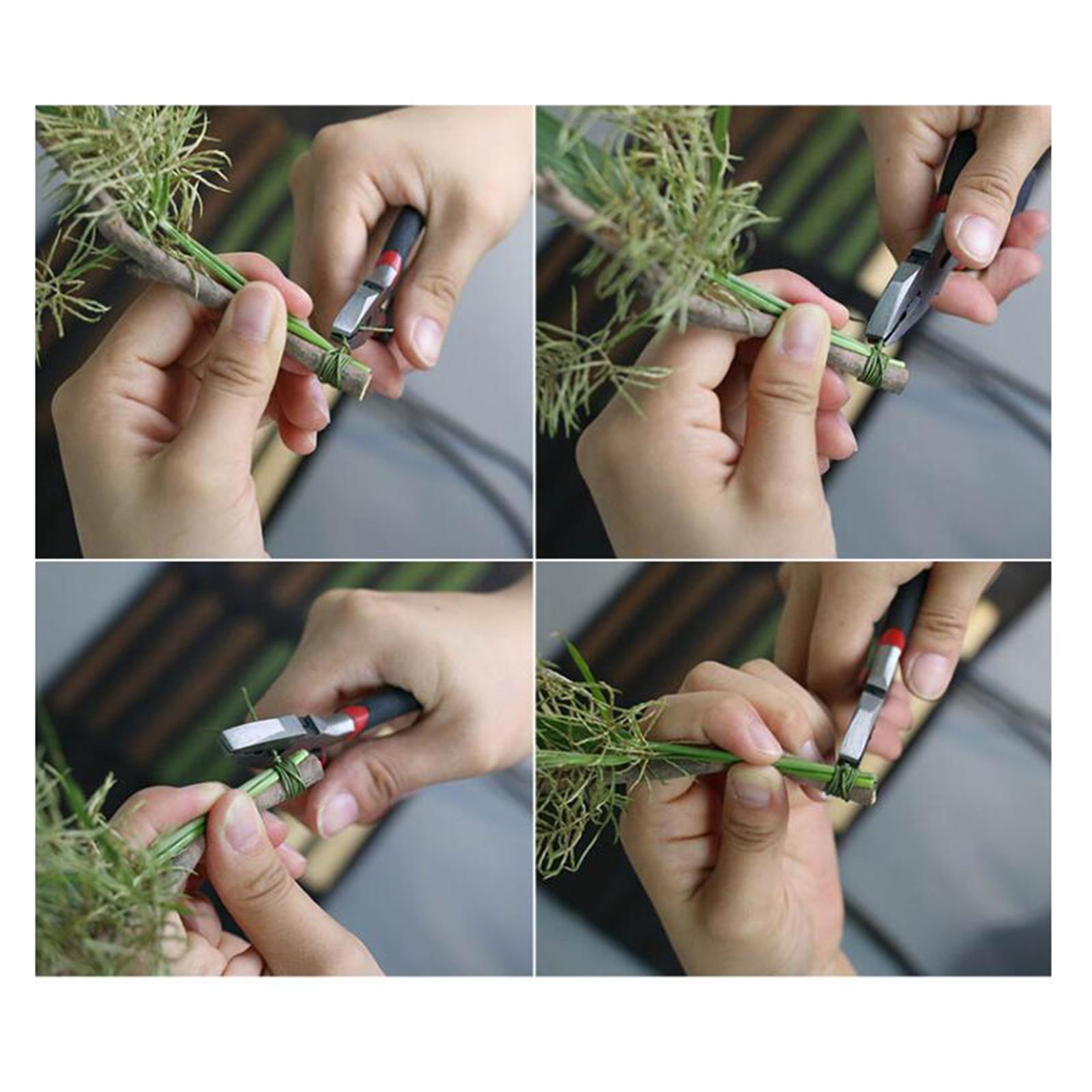 ลวดจัดดอกไม้ 100 ชิ้น ขนาด 16  - Wire Stem Florist บทวิจารณ์และราคา