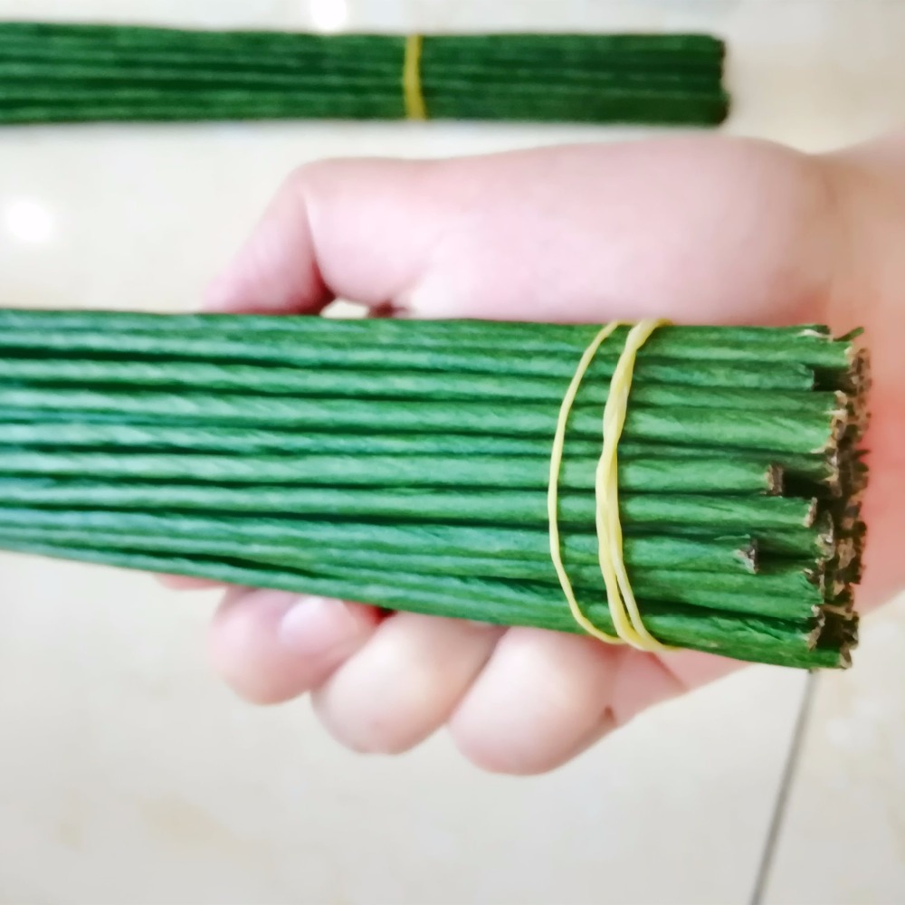 ลวดสีเขียวเข้มขนาด 1 มม. 2/3/4 - Wire Stem Florist บทวิจารณ์และราคา